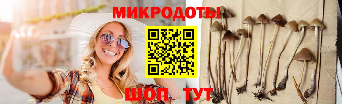 Псилоцибиновые грибы Psilocybe  Вход с VPN  где купить   Ейск 